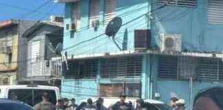 El impacto de la comunidad dominicana en el futuro de los criollos en Puerto Rico. el-impacto-de-la-comunidad-dominicana-en-el-futuro-de-los-criollos-en-puerto-rico