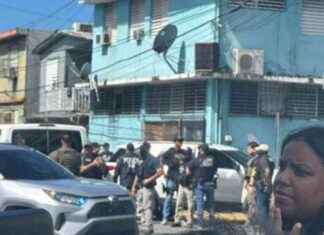 El impacto de la comunidad dominicana en el futuro de los criollos en Puerto Rico. el-impacto-de-la-comunidad-dominicana-en-el-futuro-de-los-criollos-en-puerto-rico