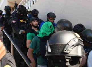 Fusión de medidas Panthera 7: Todo lo que necesitas saber fusin-de-medidas-panthera-7-todo-lo-que-necesitas-saber