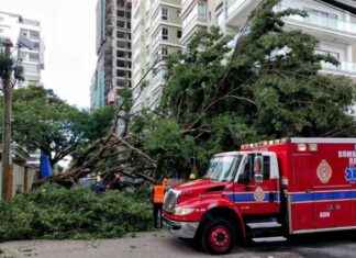 Bomberos de Santo Domingo Norte trabajan para retirar árbol caído en calle El Retiro bomberos-de-santo-domingo-norte-trabajan-para-retirar-rbol-cado-en-calle-el-retiro