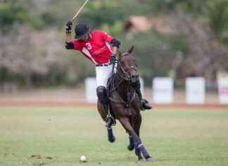 Copa Británica de Polo: Evento organizado por la Cámara Británica de Comercio copa-britnica-de-polo-evento-organizado-por-la-cmara-britnica-de-comercio