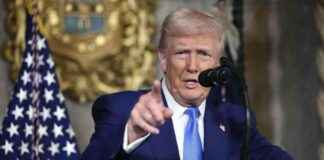 El auge de la memecracia en el inicio del gobierno de Trump el-auge-de-la-memecracia-en-el-inicio-del-gobierno-de-trump