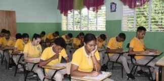 Evaluación de Estudiantes basada en Promedios: Perspectiva de Nino Collado evaluacin-de-estudiantes-basada-en-promedios-perspectiva-de-nino-collado