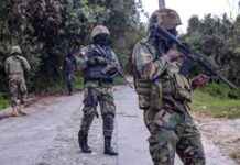 Fondos de la UE de 40 millones para apoyar a la Policía de Haití fondos-de-la-ue-de-40-millones-para-apoyar-a-la-polica-de-hait