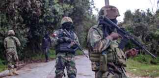 Fondos de la UE de 40 millones para apoyar a la Policía de Haití fondos-de-la-ue-de-40-millones-para-apoyar-a-la-polica-de-hait