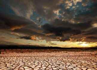 Mesa Técnica Interinstitucional de Sequía: Creación por Autoridades Internacionales mesa-tcnica-nterinstitucional-de-sequa-creacin-por-autoridades-nternacionales