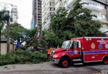 Operativos para retirar árbol caído en calle El Retiro operativos-para-retirar-rbol-cado-en-calle-el-retiro