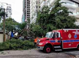 Operativos para retirar árbol caído en calle El Retiro operativos-para-retirar-rbol-cado-en-calle-el-retiro