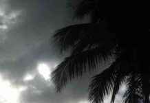 Pronóstico del clima: Lluvias y oleaje peligroso en el interior pronstico-del-clima-lluvias-y-oleaje-peligroso-en-el-interior