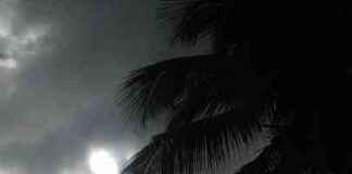 Pronóstico del clima: Lluvias y oleaje peligroso en el interior pronstico-del-clima-lluvias-y-oleaje-peligroso-en-el-interior