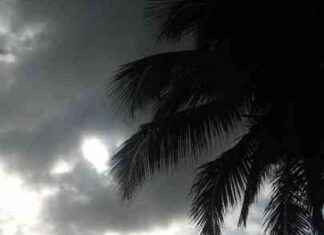 Pronóstico del clima: Lluvias y oleaje peligroso en el interior pronstico-del-clima-lluvias-y-oleaje-peligroso-en-el-interior