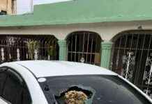 Violencia de una mujer con supuestos trastornos mentales en San Luis: Preocupación comunitaria violencia-de-una-mujer-con-supuestos-trastornos-mentales-en-san-luis-preocupacin-comunitaria