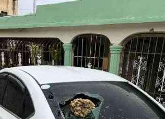 Violencia de una mujer con supuestos trastornos mentales en San Luis: Preocupación comunitaria violencia-de-una-mujer-con-supuestos-trastornos-mentales-en-san-luis-preocupacin-comunitaria