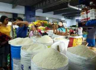 Aumento del precio de la canasta básica: Impacto en los consumidores aumento-del-precio-de-la-canasta-bsica-mpacto-en-los-consumidores