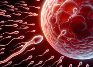 Calidad del semen como predictor de longevidad masculina calidad-del-semen-como-predictor-de-longevidad-masculina