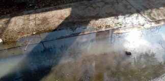 Contaminación por Aguas Negras en Brisas de Resolí, Azua contaminacin-por-aguas-negras-en-brisas-de-resol-azua