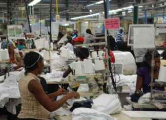 Mujeres con mayor formación académica y empleo estable mujeres-con-mayor-formacin-acadmica-y-empleo-estable