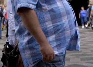 Porcentaje de dominicanos con índice de masa corporal alto y obesidad porcentaje-de-dominicanos-con-ndice-de-masa-corporal-alto-y-obesidad