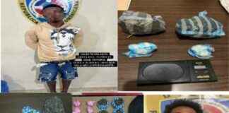Desarticulan banda criminal incautando drogas y armas en Santo Domingo Norte desarticulan-banda-criminal-incautando-drogas-y-armas-en-santo-domingo-norte