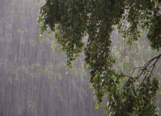 Desastres naturales afectan comunidades en Tireo, Constanza – Últimas noticias en SIN desastres-naturales-afectan-comunidades-en-tireo-constanza-ltimas-noticias-en-sn