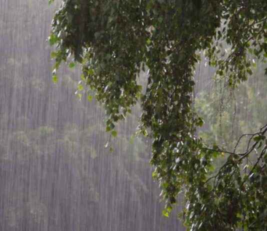 Desastres naturales afectan comunidades en Tireo, Constanza – Últimas noticias en SIN desastres-naturales-afectan-comunidades-en-tireo-constanza-ltimas-noticias-en-sn