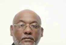 Descubriendo la vida de los leones papas descubriendo-la-vida-de-los-leones-papas