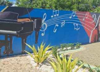 Mural en honor a Janina Rosado inaugurado en Santiago Rodríguez – Noticias SIN mural-en-honor-a-janina-rosado-inaugurado-en-santiago-rodrguez-noticias-sn