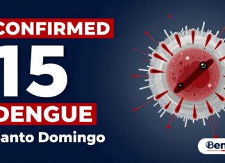 Aumentan a 15 los casos confirmados de dengue en Santo Domingo