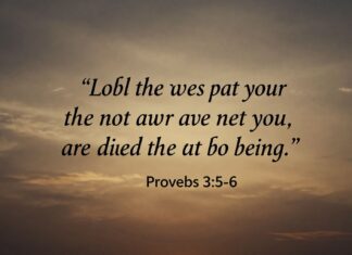 Versículo bíblico del día: Proverbios 3:5-6