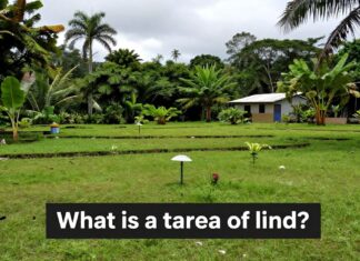 El precio de una tarea de tierra en Costa Rica ronda los $1,500