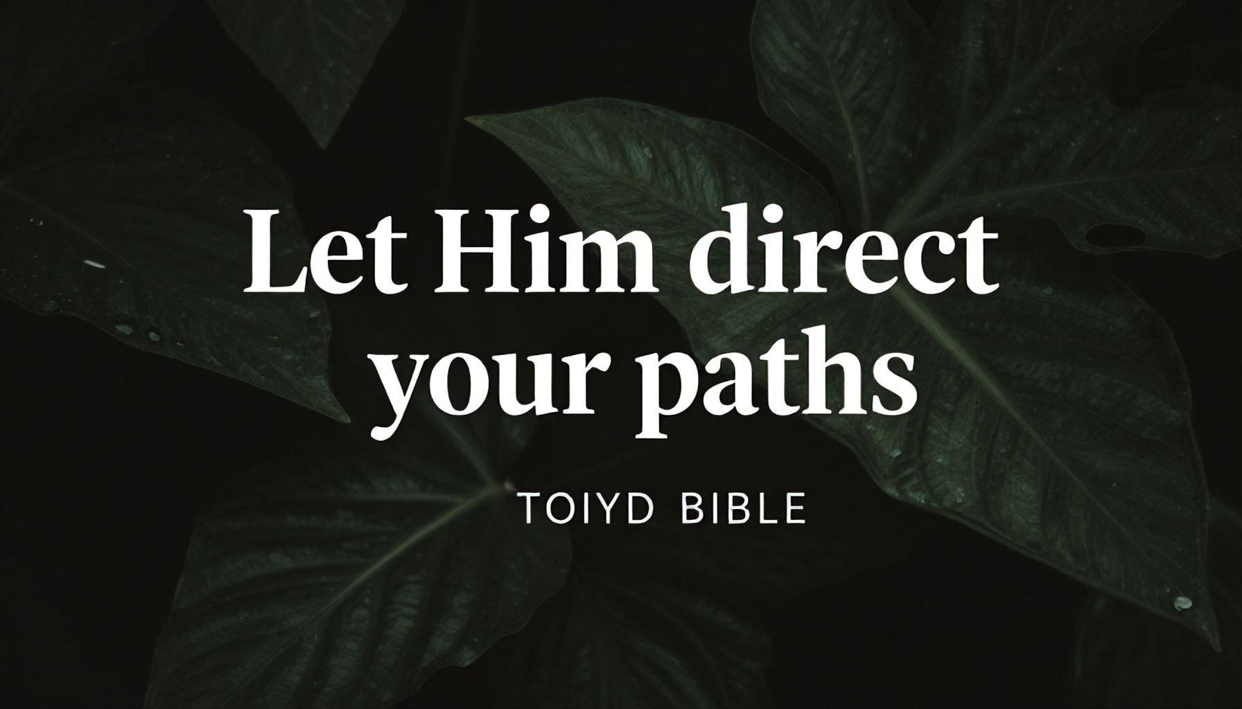 Deja que Él enderece tus caminos