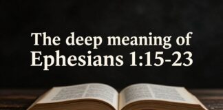 El significado profundo de Efesios 1:15-23 para los creyentes