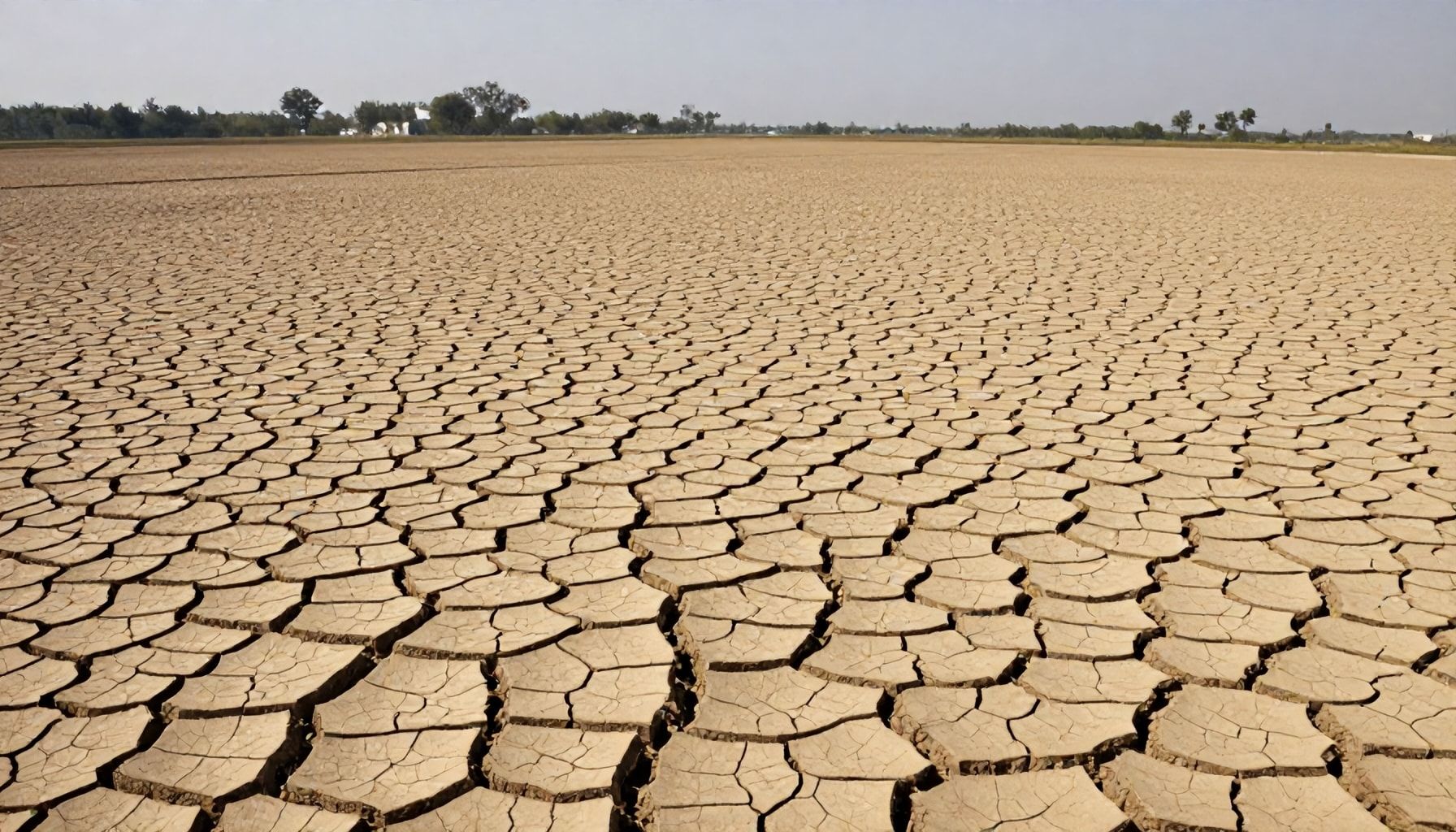 Efforts to mitigate the drought's effects