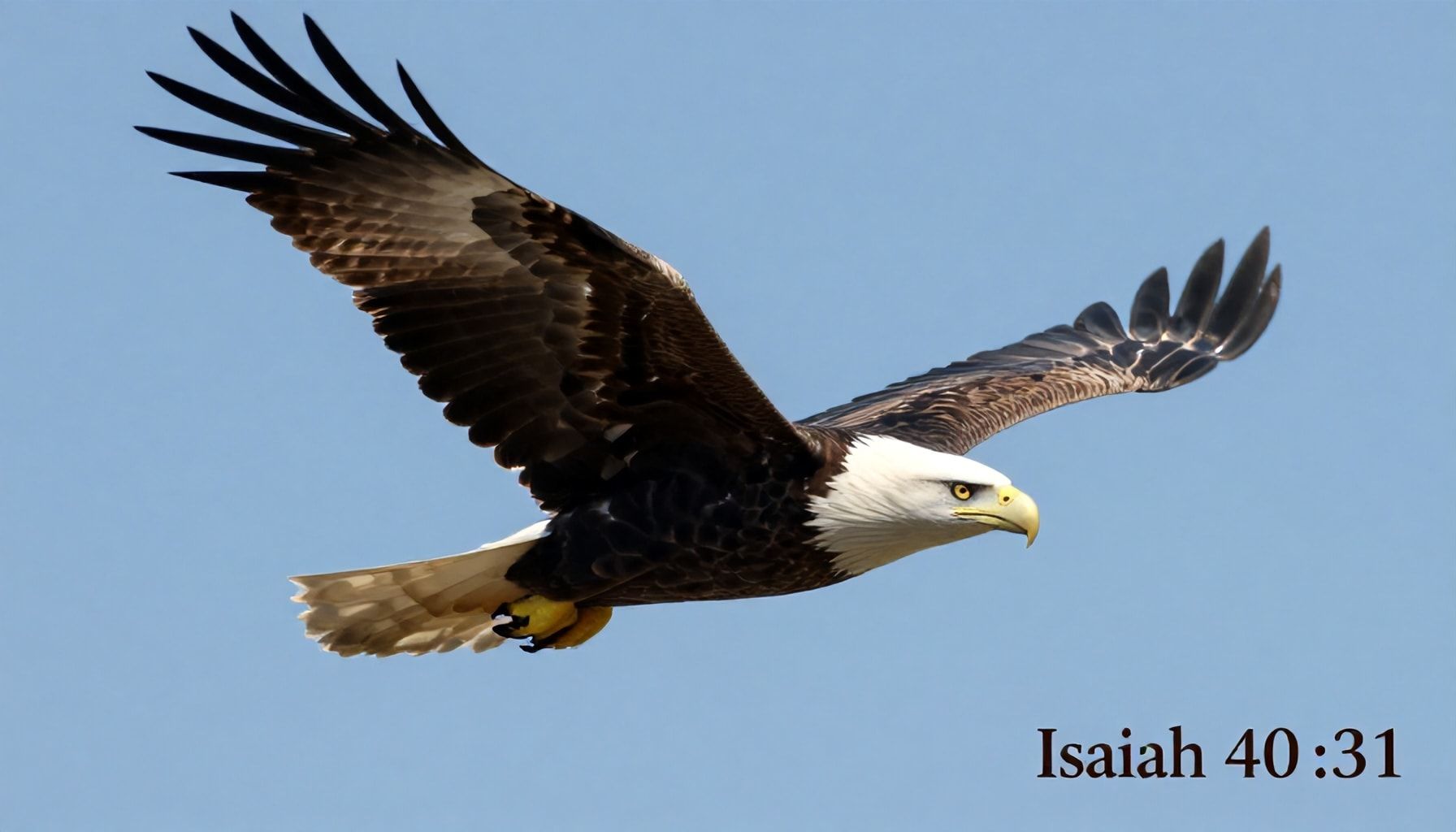 El vuelo del águila en la madurez espiritual