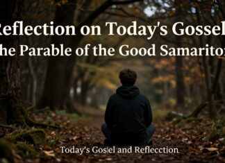 Reflexión del Evangelio de hoy: La parábola del buen samaritano