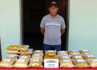 Capturan a Guzmán con 500 kilos de cocaína en Puerto Plata