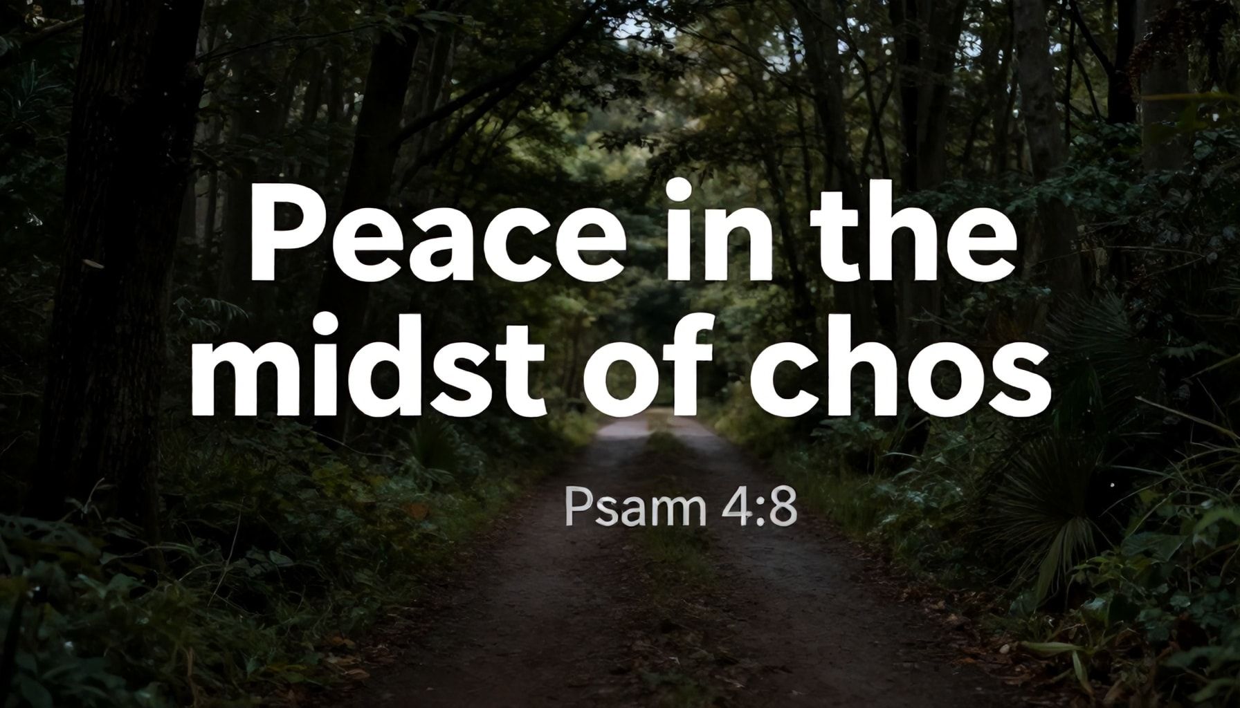 La paz en medio del caos