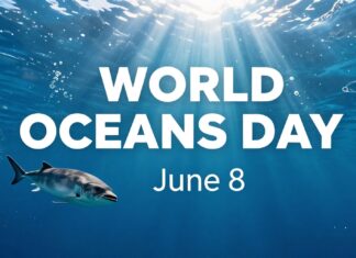 El 8 de junio se celebra el Día Mundial de los Océanos en República Dominicana