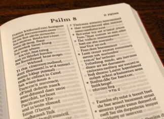 El Salmo 8 destaca la grandeza de la creación divina