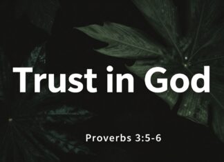 El versículo de hoy: Proverbios 3:5-6, confianza en Dios