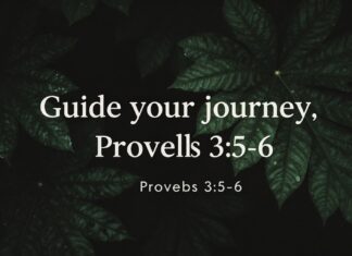 Versículo del día: Proverbios 3:5-6 para guiar tu jornada