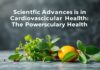 Avances Científicos en la Salud Cardiovascular: El Poder de las Hierbas Frescas Scientific Advances in Cardiovascular Health: The Power of Fresh Herbs