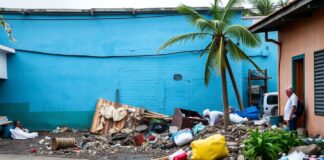 El Impacto de los Desastres Naturales en la Región de Dominic The Impact of Natural Disasters in the Dominican Region